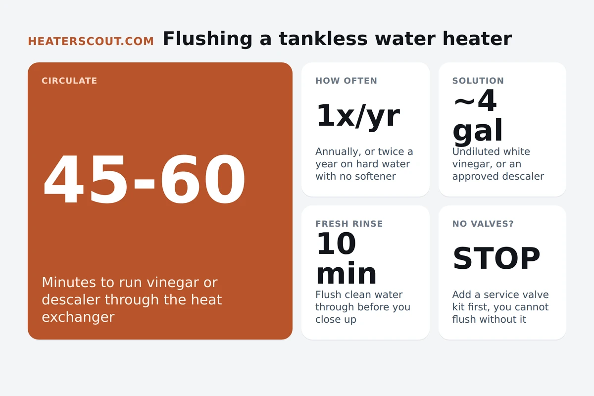 Bento infographic summarizing how to flush a tankless water heater: circulate vinegar or descaler 45 to 60 minutes, flush annually or twice a year on hard water, use about 4 gallons of undiluted white vinegar, rinse 10 minutes, and stop if there are no isolation valves