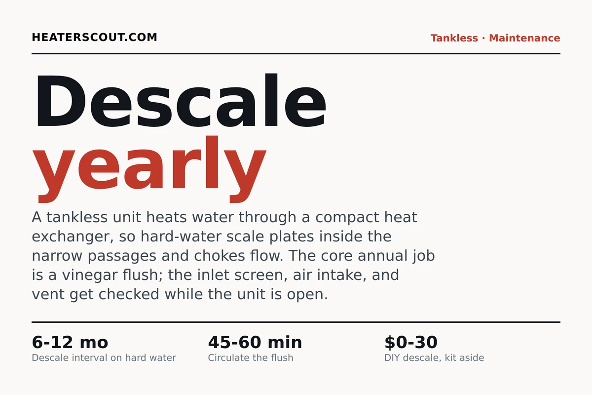 Tankless water heater annual maintenance overview: descale the exchanger, clean the filters, check the vent